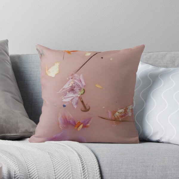 https://ih1.redbubble.net/image.554814915.6816/throwpillow,small,600x-bg,f8f8f8-c,0,120,600,600.u5.jpg