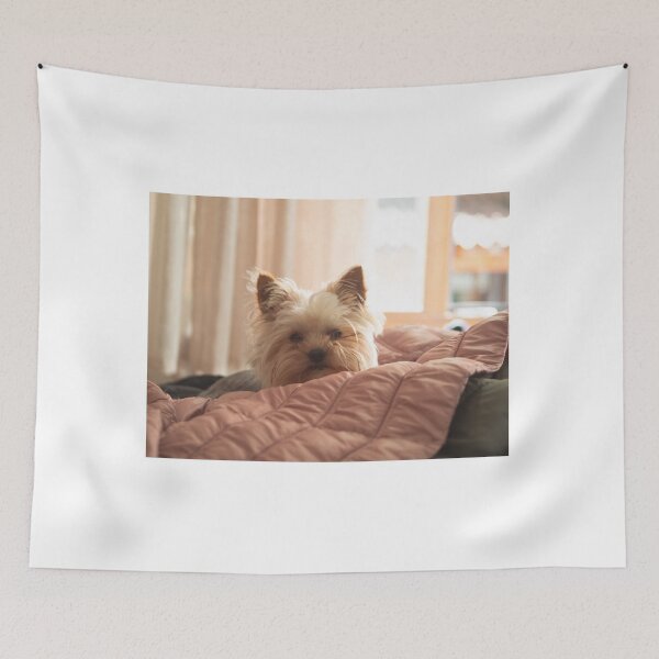 Item preview, dog Turist Park Samokov bulgaria designed and sold by oleg gendel.