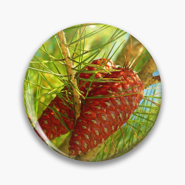 Item preview, pine cone designed and sold by Tereza Pilar  Art.