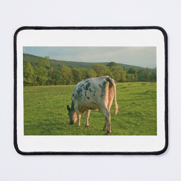 Item preview, Irish cow at pasture designed and sold by Margauxb.