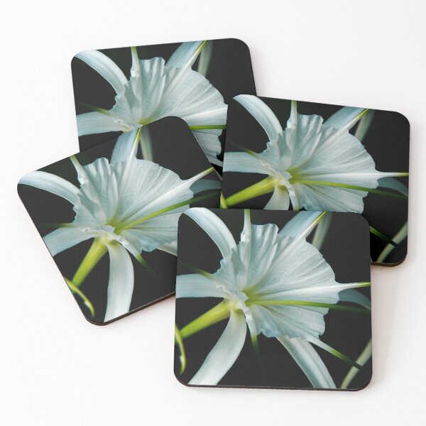 Item preview, Solo... designed and sold by Tamara Travers.