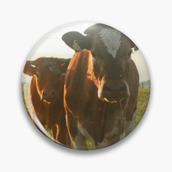 Item preview, Pair of Irish cattle designed and sold by Margauxb.