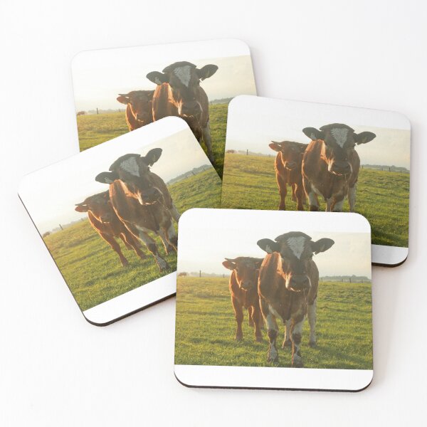 Item preview, Pair of Irish cattle designed and sold by Margauxb.