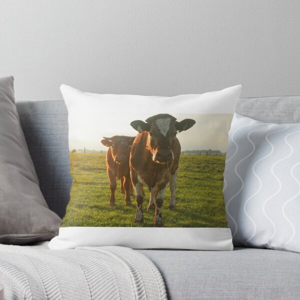 Item preview, Pair of Irish cattle designed and sold by Margauxb.