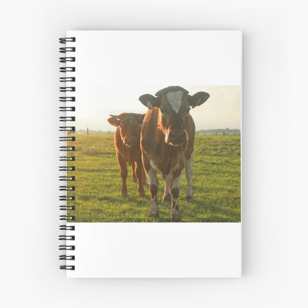 Item preview, Pair of Irish cattle designed and sold by Margauxb.