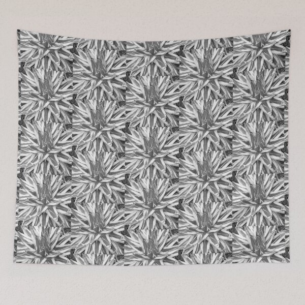 Item preview, Garfield Park Conservatory Agave Photograph designed and sold by Shannon Greve.
