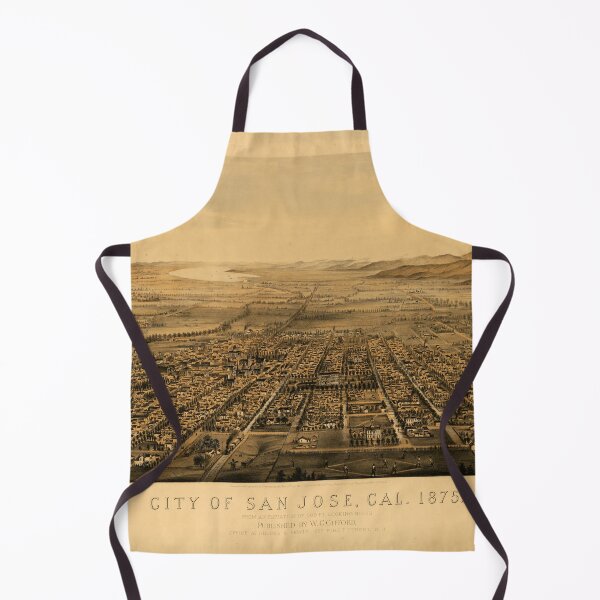 Item preview, San Jose, California (1875) designed and sold by allhistory.