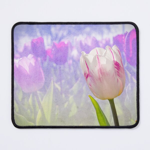 Item preview, Tulip in a Garden at Centennial Park designed and sold by jrtwynam.