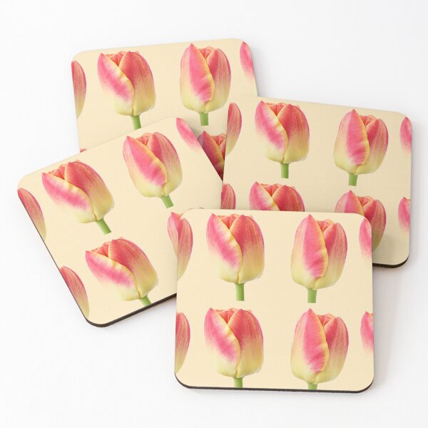 Item preview, Tulipa 'Candy Corner' Triumph Tulip designed and sold by Chris Burrows.