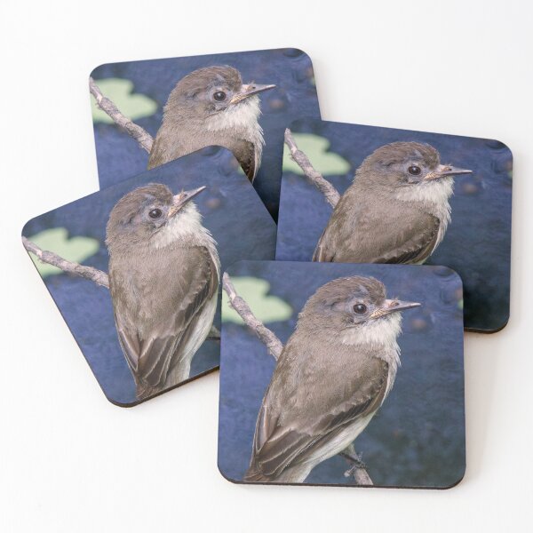 Item preview, Eastern Phoebe Songbird designed and sold by Tim Dusenberry.