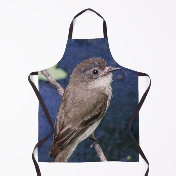 Item preview, Eastern Phoebe Songbird designed and sold by Tim Dusenberry.