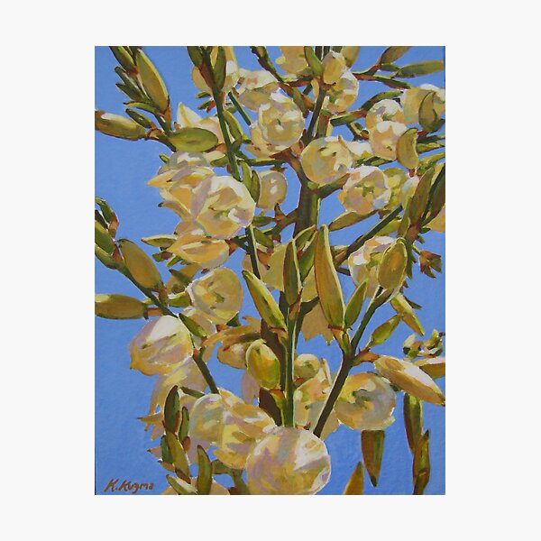 Yucca In Full Bloom II Photographic Print