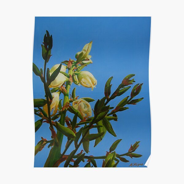 Yucca Blooming II Poster