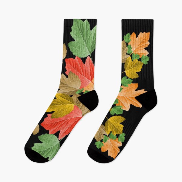 Item preview, colorful leaves in autumn tree leaf deciduous tree forest trees designed and sold by rhnaturestyles.