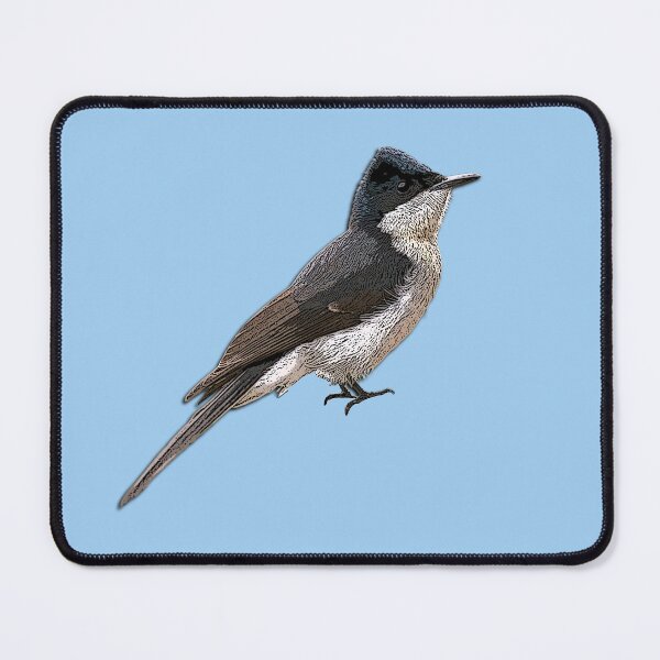 Item preview, Restless Flycatcher Color Design designed and sold by designsasstultd.