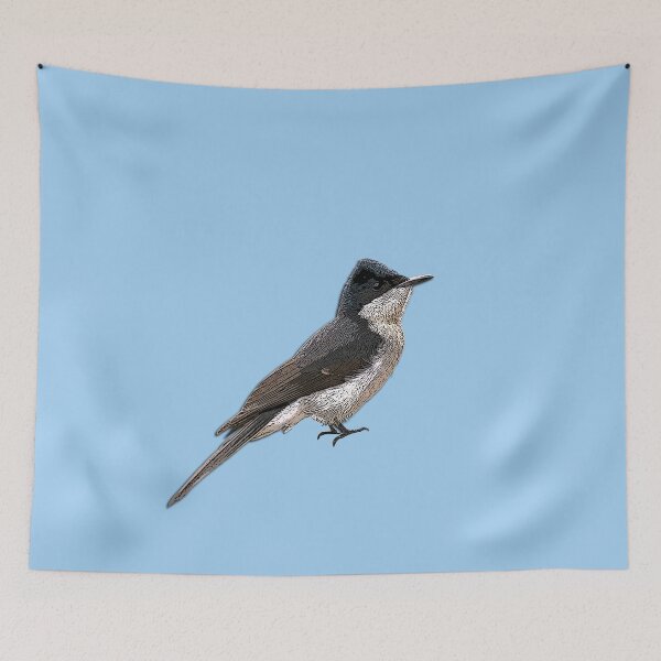 Item preview, Restless Flycatcher Color Design  designed and sold by designsasstultd.