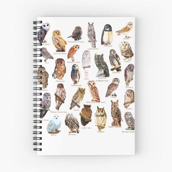 Item preview, Parliament of Owls in Photos designed and sold by EdmondsLove.