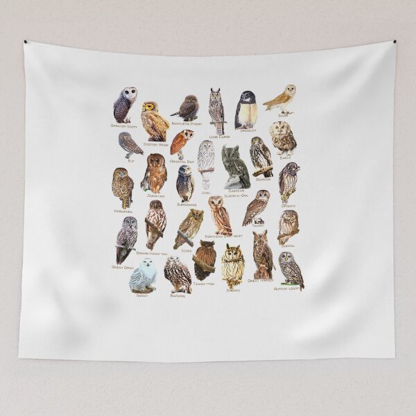 Item preview, Parliament of Owls in Photos designed and sold by EdmondsLove.
