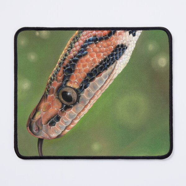 Item preview, Rainbow Boa soft pastel painting designed and sold by CharlotteJade.