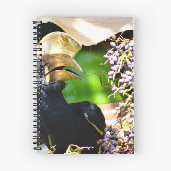 Item preview, Hornbill Bird in a Coconut Tree - Kenya Africa designed and sold by exploramum.