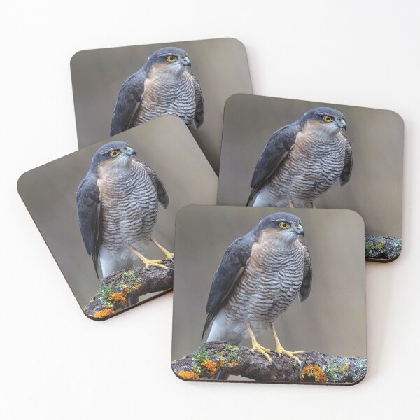 Item preview, Sparrowhawk designed and sold by Tom McPherson Photography.