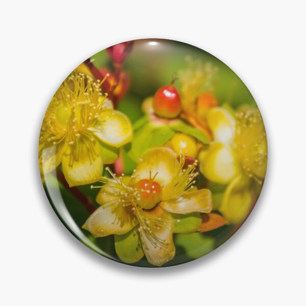 Item preview, Hypericum designed and sold by JEZ22.