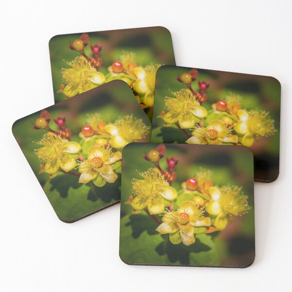 Item preview, Hypericum designed and sold by JEZ22.