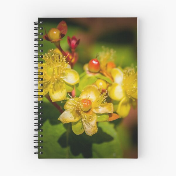 Item preview, Hypericum designed and sold by JEZ22.