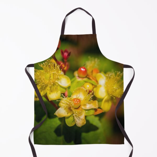 Item preview, Hypericum designed and sold by JEZ22.