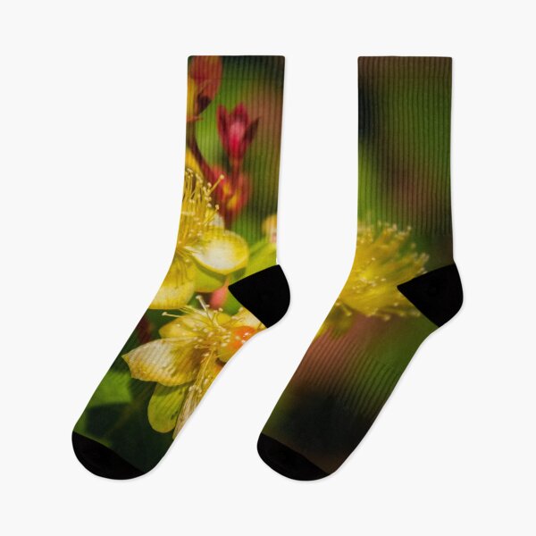 Item preview, Hypericum designed and sold by JEZ22.