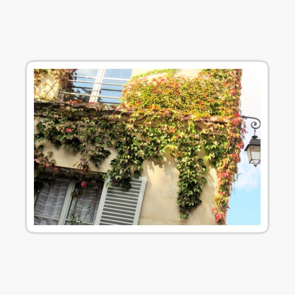 Aperçu de l'œuvre Fenêtres et volets d'un appartement à Paris créée et vendue par BlackBeret.