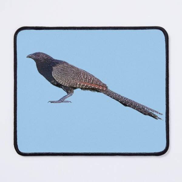 Item preview, Pheasant Coucal Color Design  designed and sold by designsasstultd.