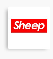 Sheep Canvas Print