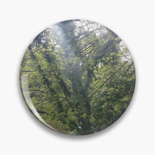 Item preview, #339 |☼| A Streak Of Sunlight (Matlock Bath) designed and sold by Naean H.F. (Nez Man).