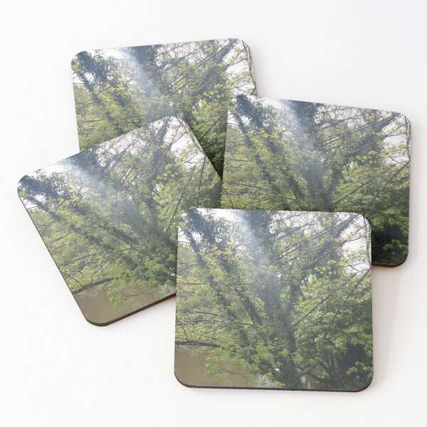 Item preview, #339 |☼| A Streak Of Sunlight (Matlock Bath) designed and sold by Naean H.F. (Nez Man).