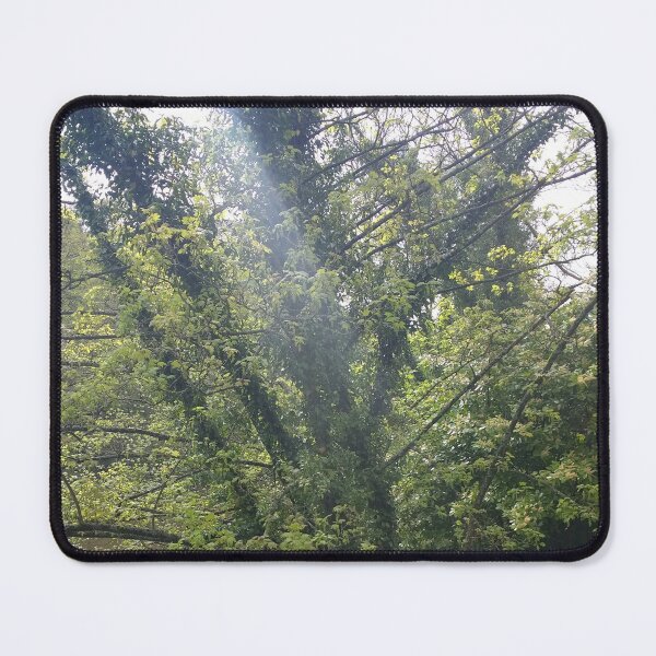 Item preview, #339 |☼| A Streak Of Sunlight (Matlock Bath) designed and sold by Naean H.F. (Nez Man).