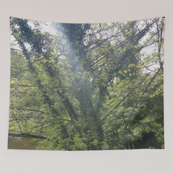 Item preview, #339 |☼| A Streak Of Sunlight (Matlock Bath) designed and sold by Naean H.F. (Nez Man).