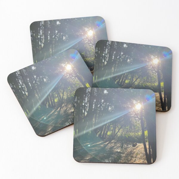 Item preview, Exclusive Photography: Botanic Gardens, Adelaide designed and sold by Bethany Knowles.