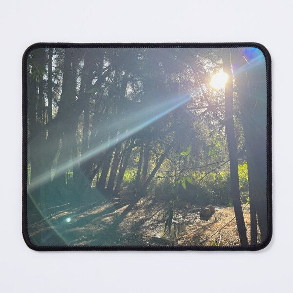 Item preview, Exclusive Photography: Botanic Gardens, Adelaide designed and sold by Bethany Knowles.