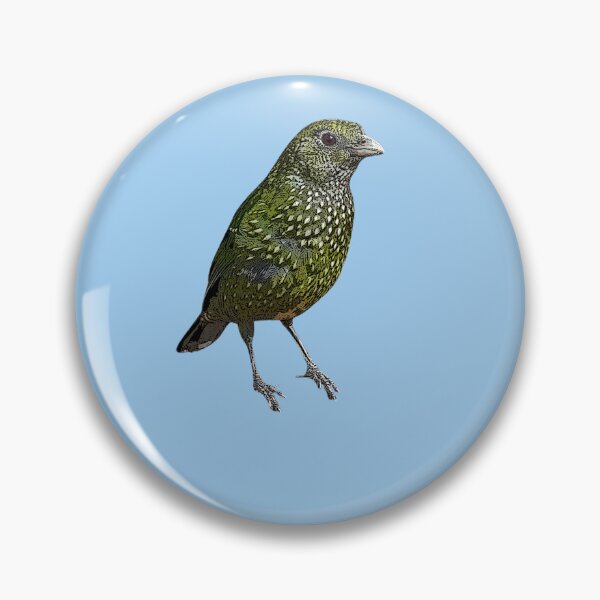 Item preview, Green Catbird Color Design  designed and sold by designsasstultd.