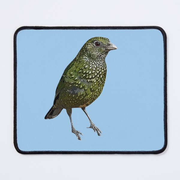 Item preview, Green Catbird Color Design designed and sold by designsasstultd.