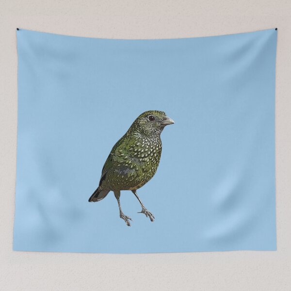 Item preview, Green Catbird Color Design  designed and sold by designsasstultd.