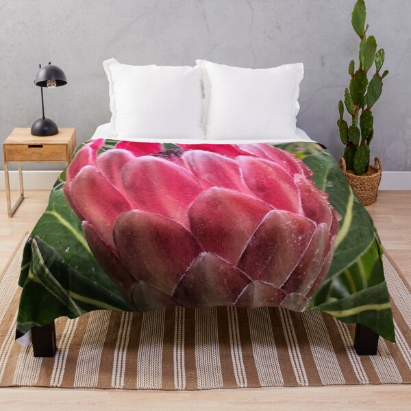 Artikelvorschau, Rosa Protea-Blume entworfen und verkauft von smh2.