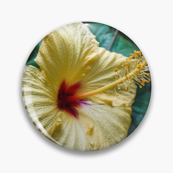 Item preview, Yellow Hibiscus In The Garden designed and sold by Douglas E. Welch Design and Photography.
