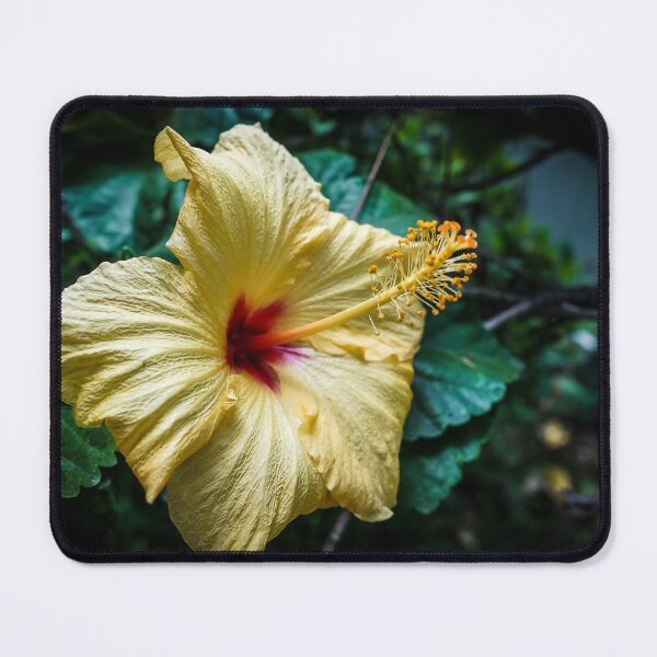 Item preview, Yellow Hibiscus In The Garden designed and sold by Douglas E. Welch Design and Photography.
