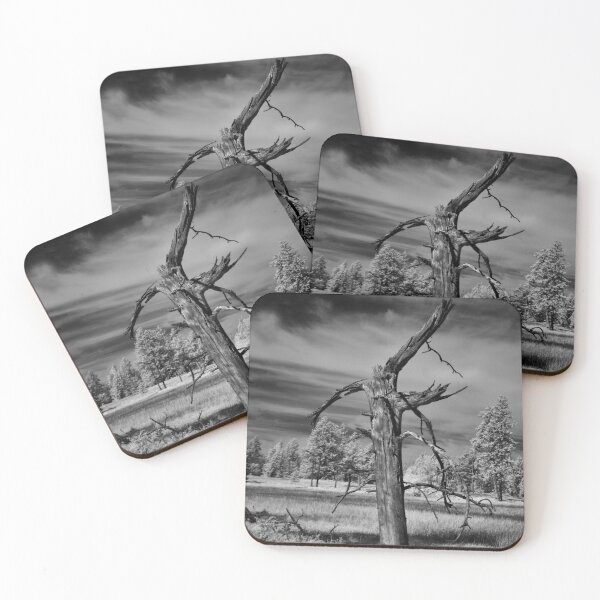 Item preview, Monochrome dead tree designed and sold by Cblifeisgood.