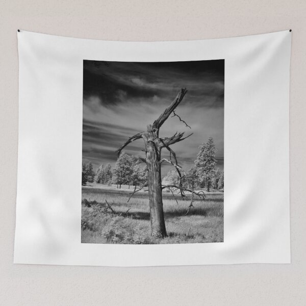 Item preview, Monochrome dead tree designed and sold by Cblifeisgood.