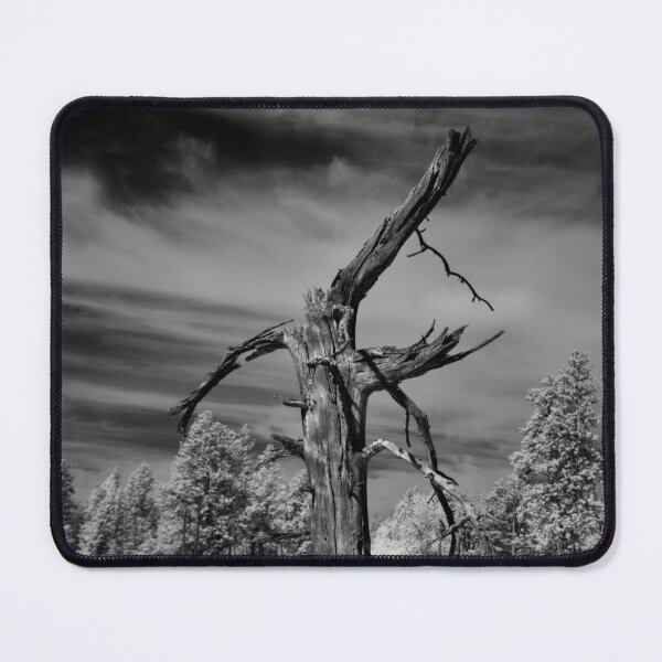 Item preview, Monochrome dead tree designed and sold by Cblifeisgood.