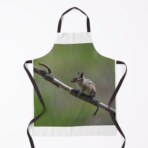 Item preview, Chipmunk with wet tail designed and sold by Cblifeisgood.