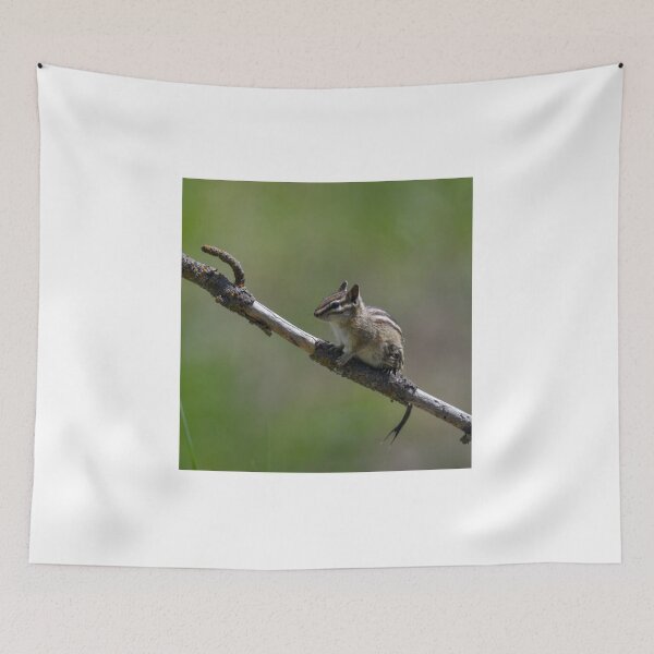 Item preview, Chipmunk with wet tail designed and sold by Cblifeisgood.